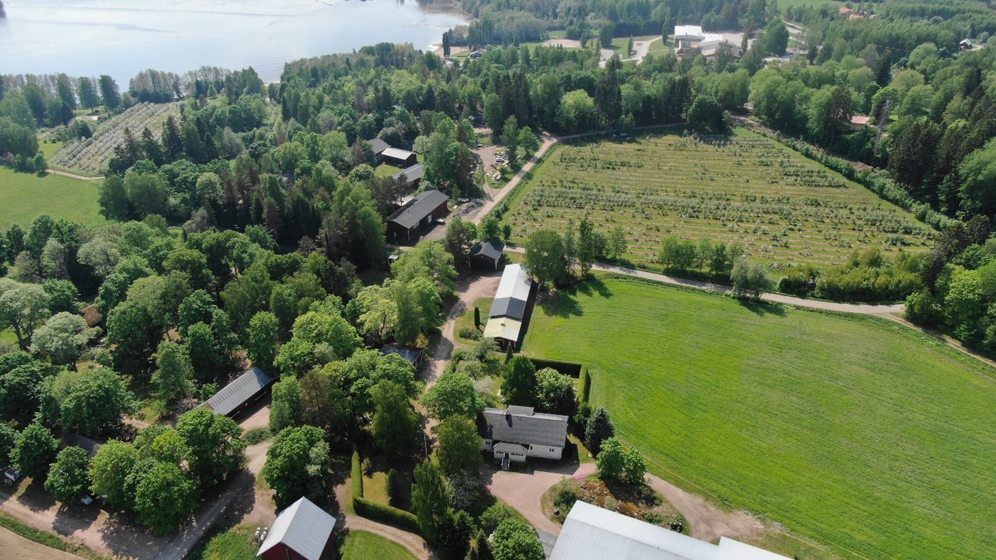 Lohjantaipale ilmakuva 2024