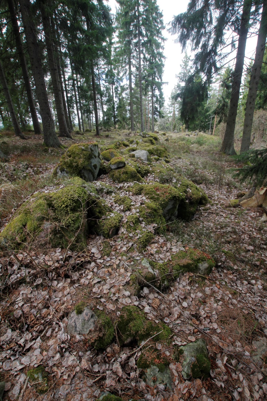 Muinaislinnan koillispää